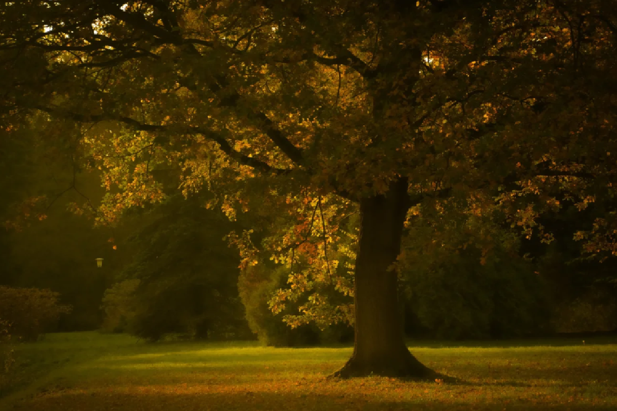Przykładowe zdjęcie w tle — zastąp własnym