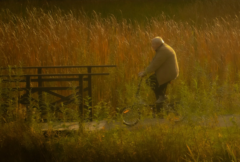 Natura – przykładowe